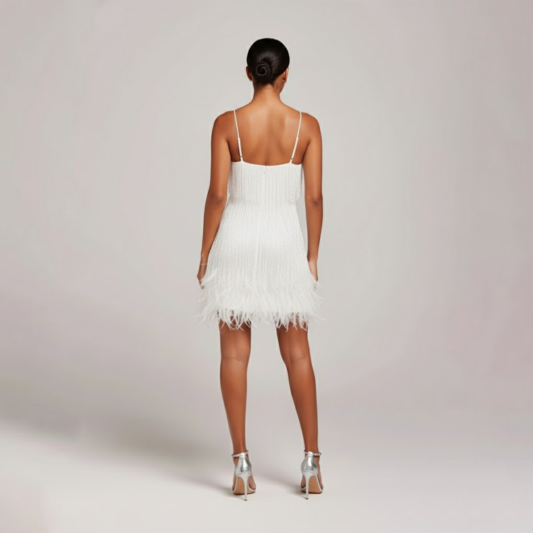 Anastasia | Fringe & Feather Party Dress